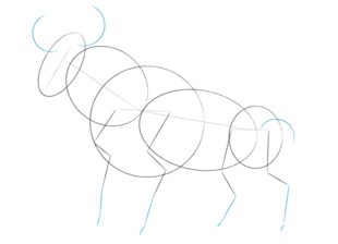 Stier Zeichnen Lernen Schritt F r Schritt Tutorial Zeichnen Leicht stier-zeichnen-lernen-schritt-f-r-schritt-tutorial-zeichnen-leicht