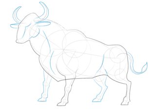 Stier Zeichnen Lernen Schritt F r Schritt Tutorial Zeichnen Leicht stier-zeichnen-lernen-schritt-f-r-schritt-tutorial-zeichnen-leicht
