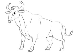 Stier Zeichnen Lernen Schritt F r Schritt Tutorial Zeichnen Leicht stier-zeichnen-lernen-schritt-f-r-schritt-tutorial-zeichnen-leicht