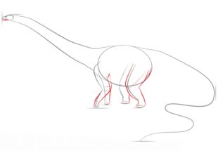 Dinosaurier - Diplodocus zeichnen lernen schritt für schritt tutorial 4