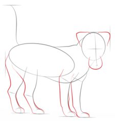 Hund - Terrier zeichnen lernen schritt für schritt tutorial 4