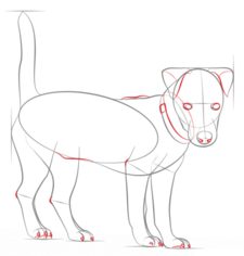 Hund - Terrier zeichnen lernen schritt für schritt tutorial 6