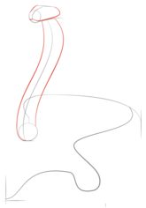 Schlange - Kobra zeichnen lernen schritt für schritt tutorial 3