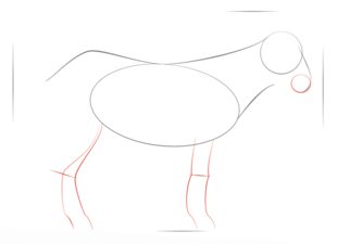 Ziegenbock zeichnen lernen schritt für schritt tutorial 3