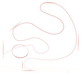 Schlange – Python zeichnen lernen schritt für schritt tutorial 1