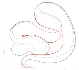 Schlange – Python zeichnen lernen schritt für schritt tutorial 3