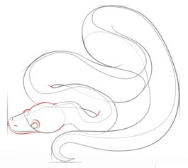 Schlange – Python zeichnen lernen schritt für schritt tutorial 5